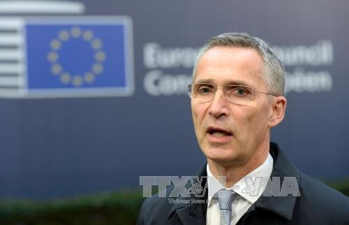 Stoltenberg verteidigt Zurückhaltung der Nato in Syrien - ảnh 1